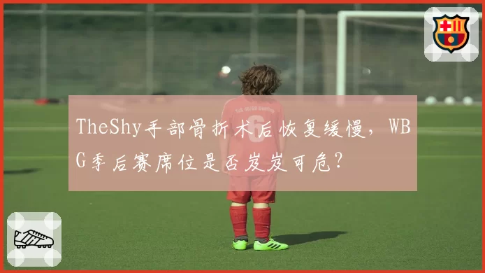 TheShy手部骨折术后恢复缓慢，WBG季后赛席位是否岌岌可危？