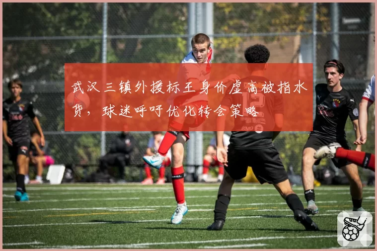 武汉三镇外援标王身价虚高被指水货，球迷呼吁优化转会策略